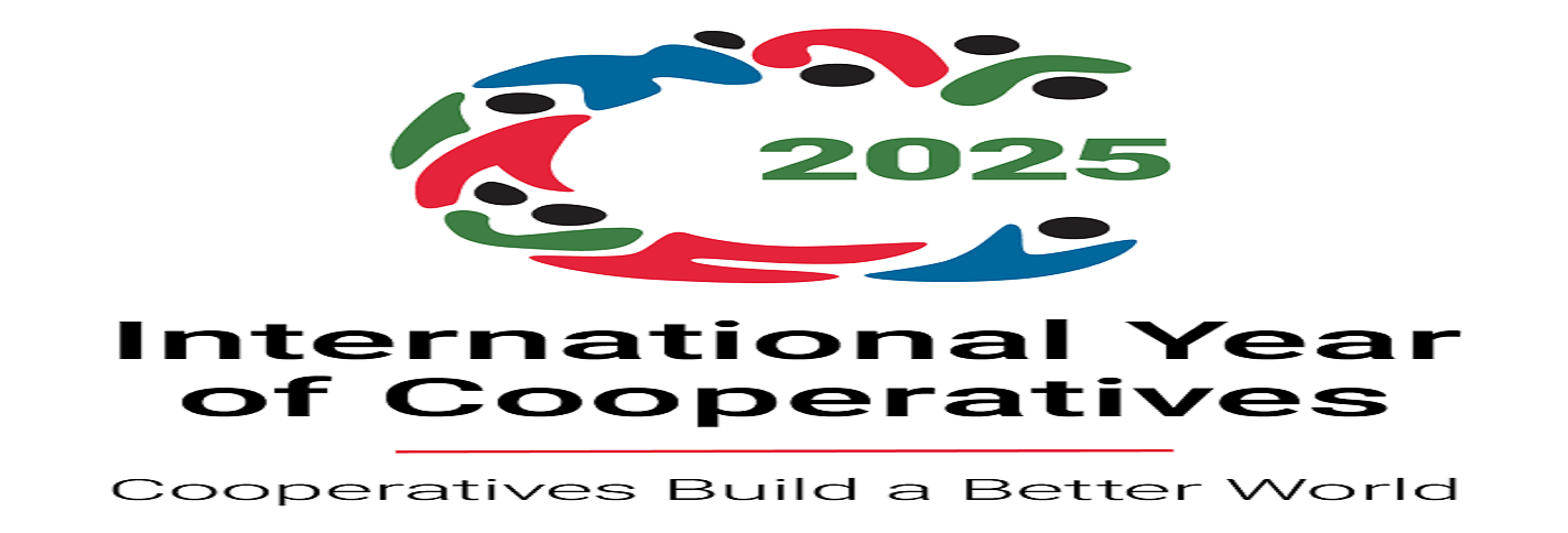 Displaying IYC-2025 logo